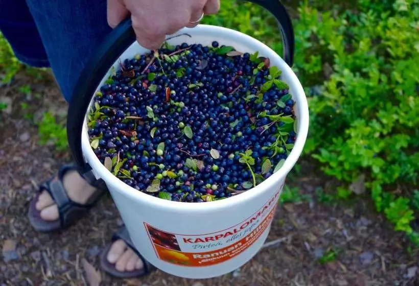 هتل Guesthouse Arctic Heart