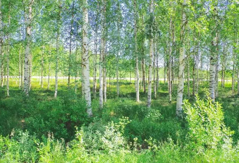 هتل Guesthouse Arctic Heart