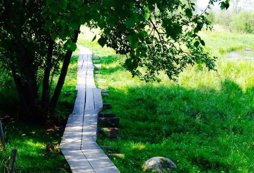 هتل Guesthouse Arctic Heart