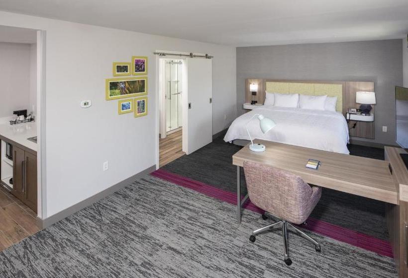 בית מלון כפרי Hampton Inn & Suites Rocky Hillhartford South