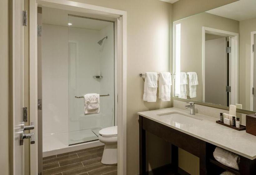 Отель Madison & Shenandoah Conference Ctr