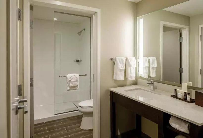 ホテル Madison & Shenandoah Conference Ctr