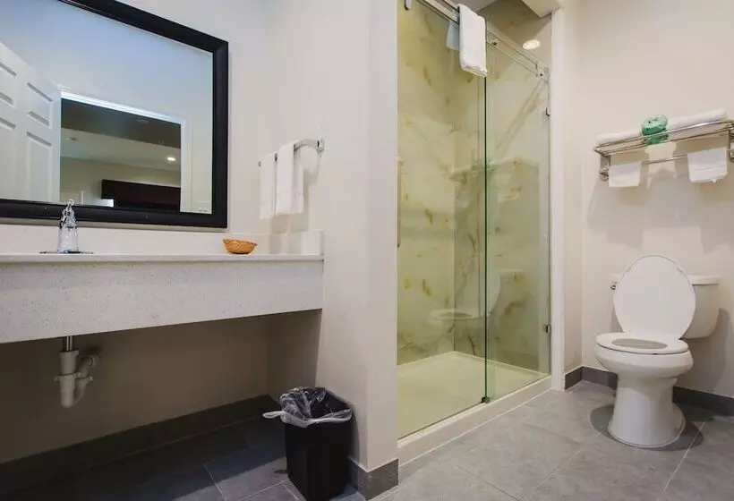 هتل Scottish Inn & Suites  Atascocita