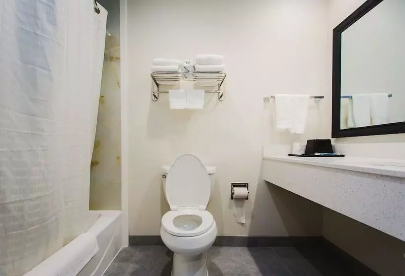 هتل Scottish Inn & Suites  Atascocita