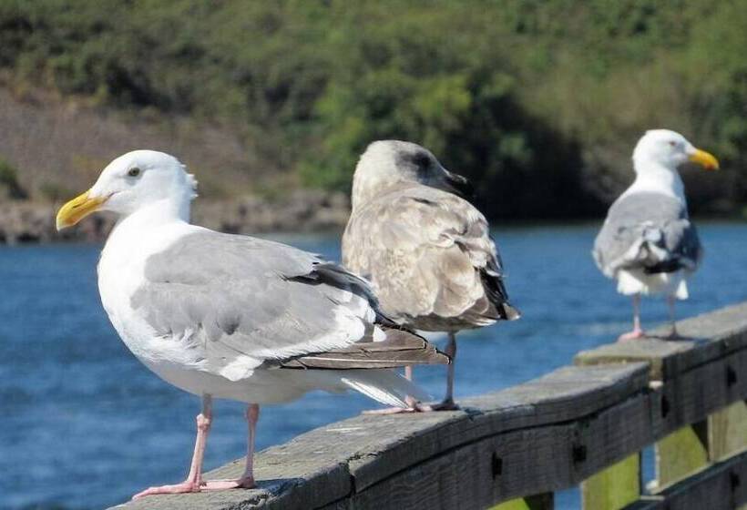 فندق The Waldport Inn