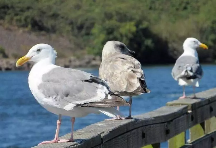 Hotelli The Waldport Inn