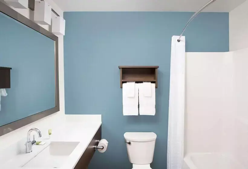 Hotelli Woodspring Suites Buford Near Mall Of Georgia Lake Lanier