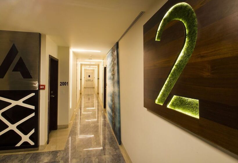 فندق Art Boutique