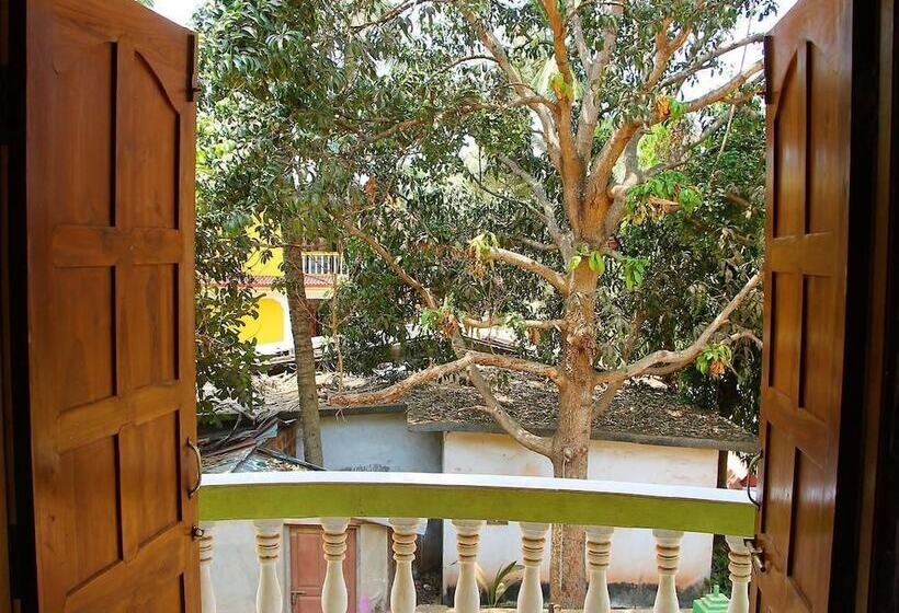 Hotel Fig Fin Beach Resort