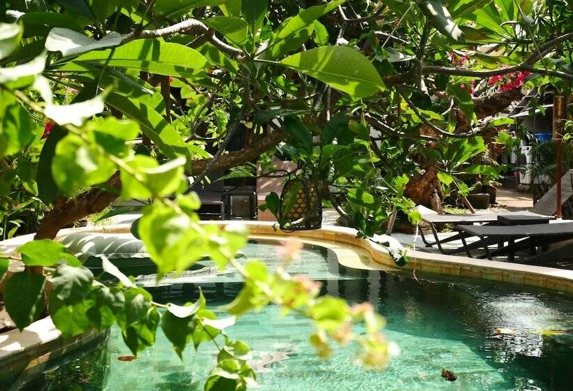 ホテル Kalua Boutique Bungalows