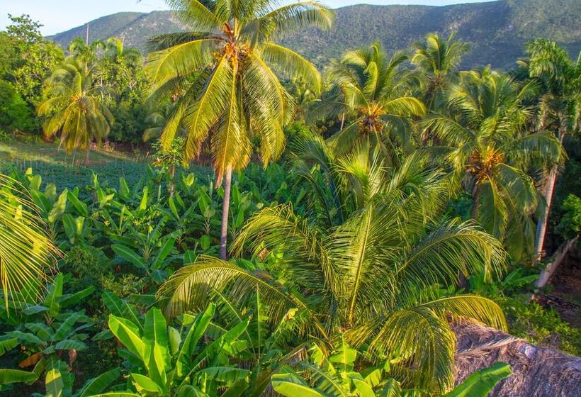 Rollanda Hotel Restaurant