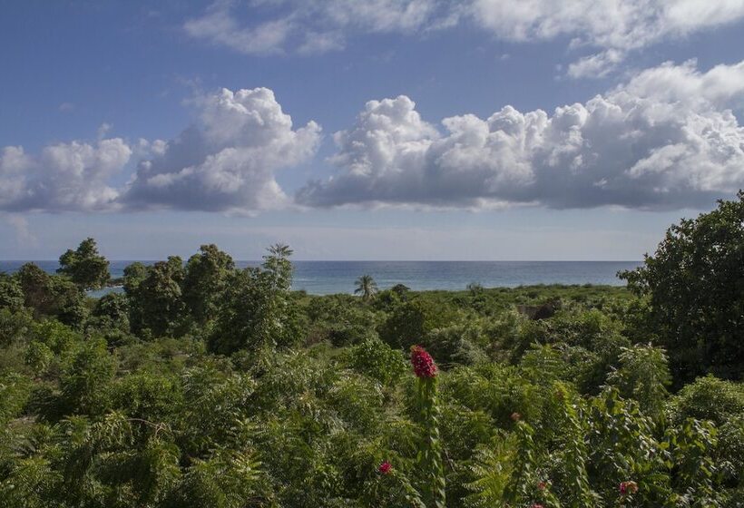 Rollanda Hotel Restaurant