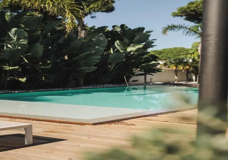 Casa Cuatro Boutique Hotel   Adults Only