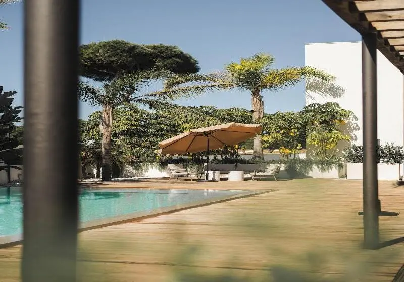 Casa Cuatro Boutique Hotel   Adults Only