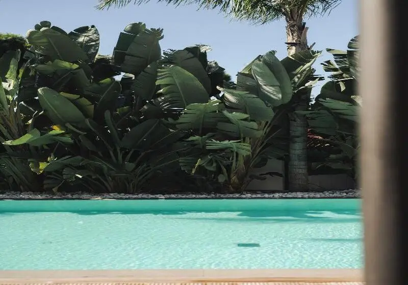 Casa Cuatro Boutique Hotel   Adults Only