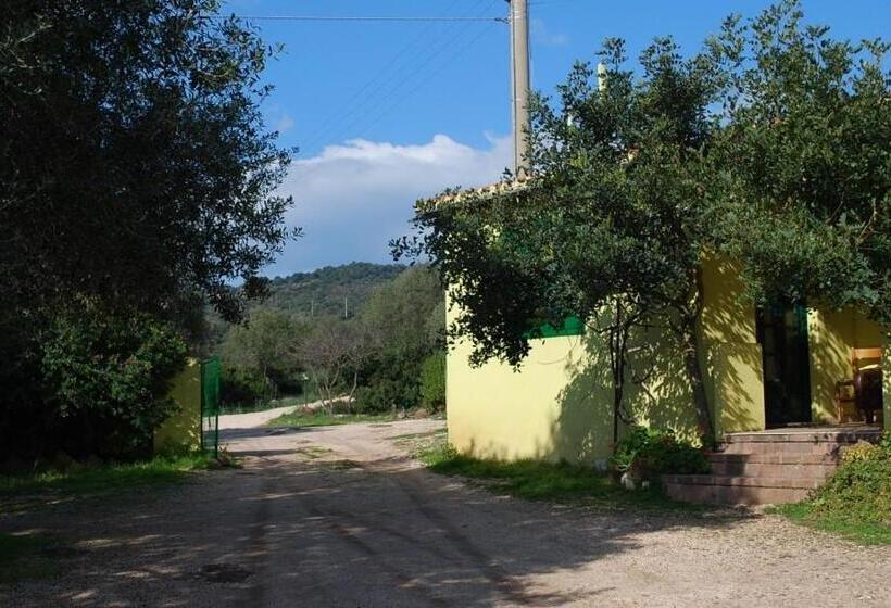 Отель Agriturismo Paulesa