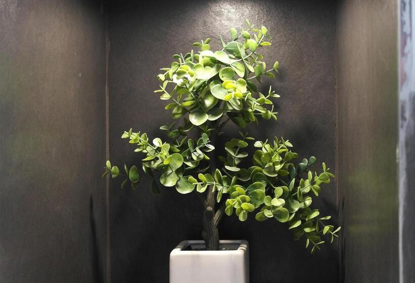 فندق Casa Manfredi Manfredi Homes&villas