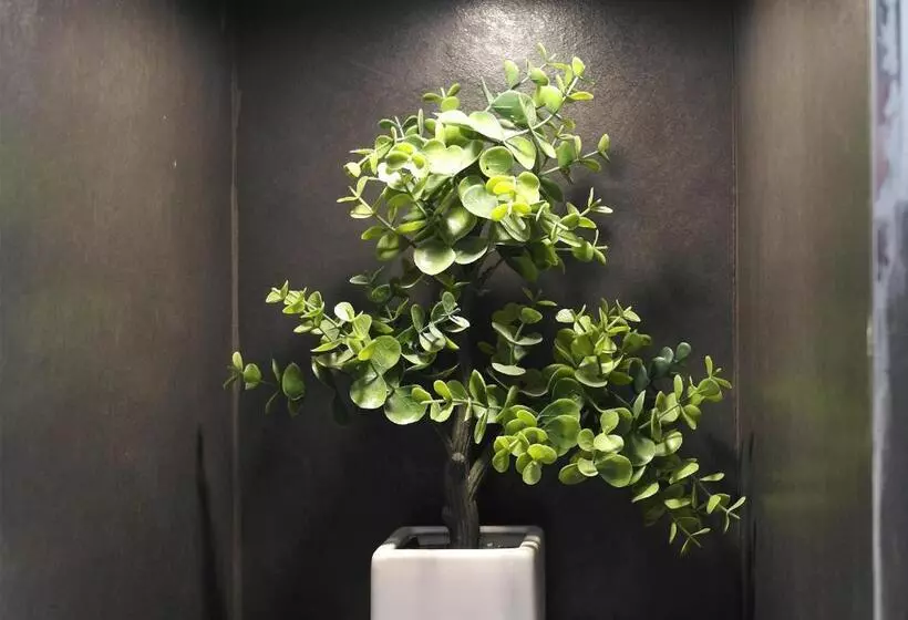 Hotelli Casa Manfredi   Manfredi Homes&villas