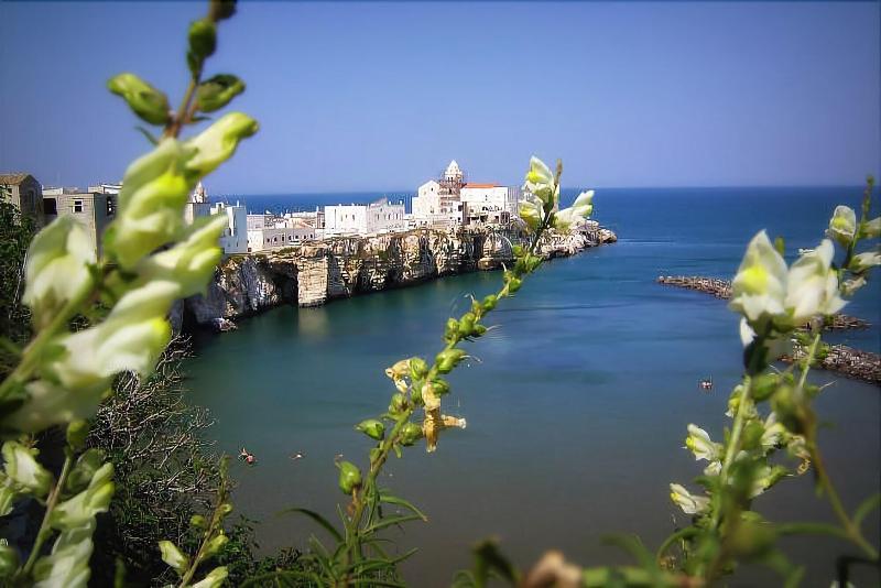 בית מלון כפרי I Cordari B&b