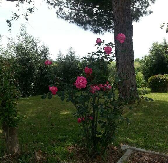 酒店 La Finestra Sul Cortile