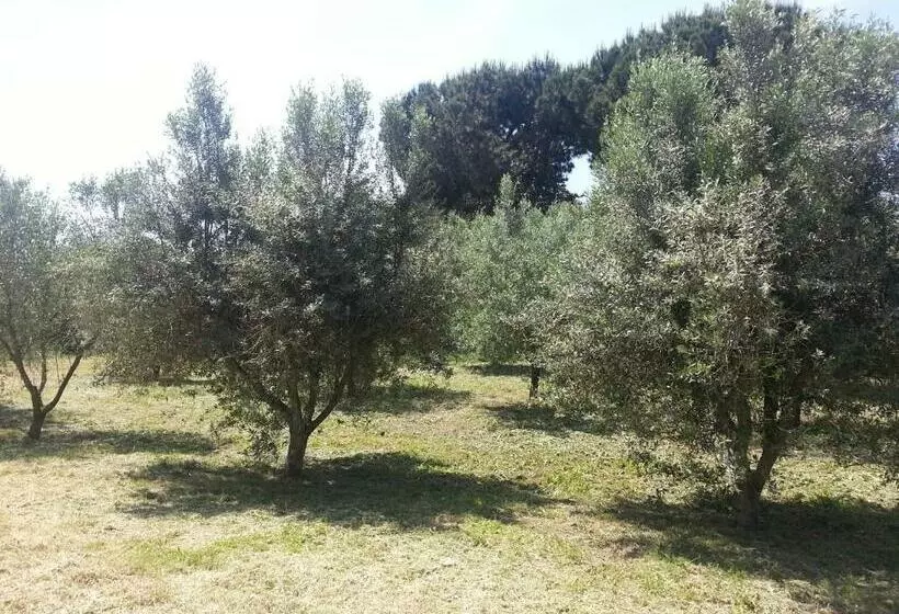 Hotelli La Finestra Sul Cortile