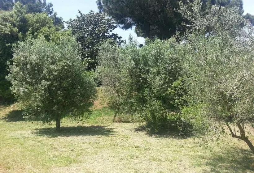 Hotelli La Finestra Sul Cortile