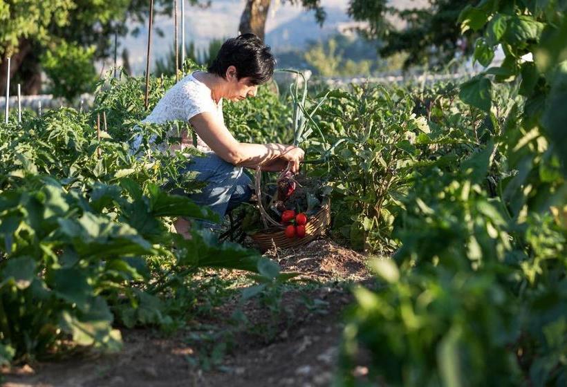 فندق Relais Villa Del Monte