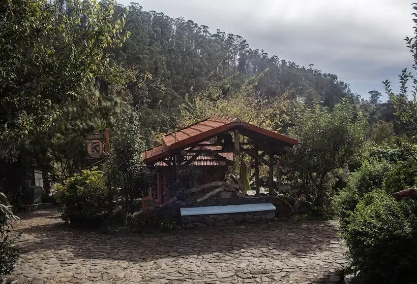 ホテル Casas Maravilha Calheta