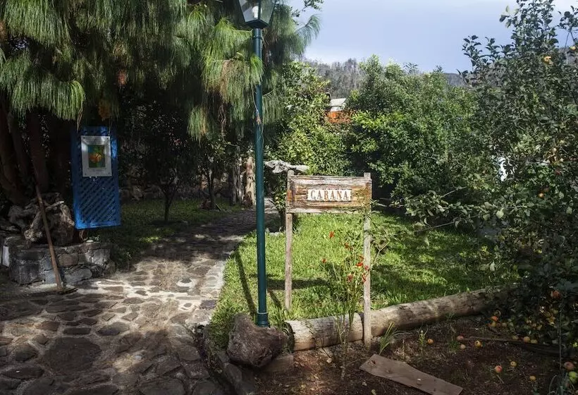 ホテル Casas Maravilha Calheta