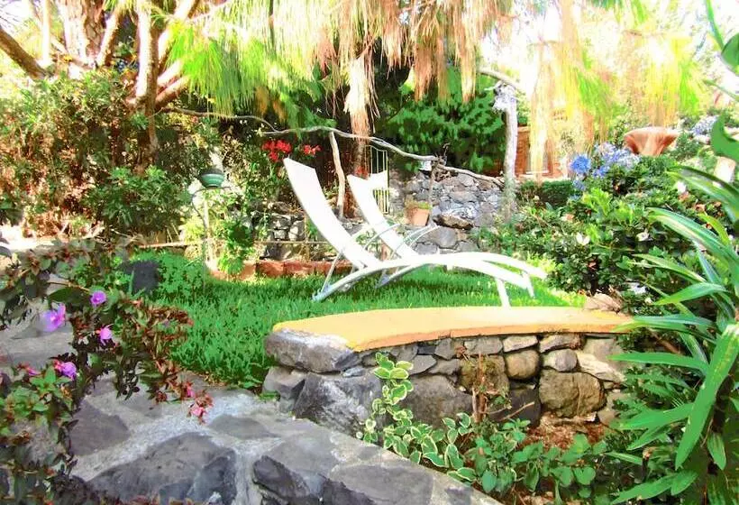 ホテル Casas Maravilha Calheta