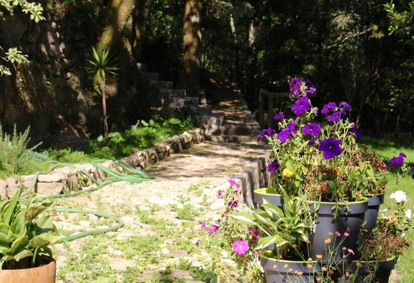 Hotel Moinho Do ázere