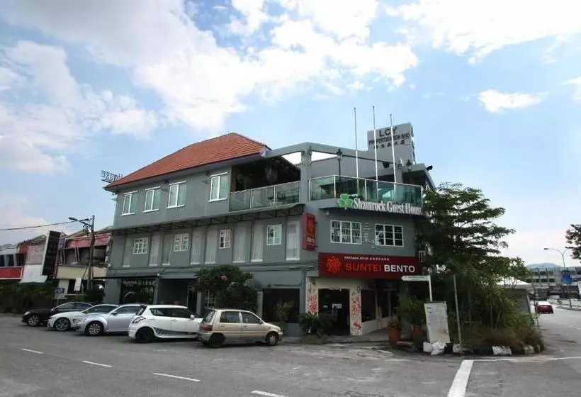 Hotelli Shamrock Guest House