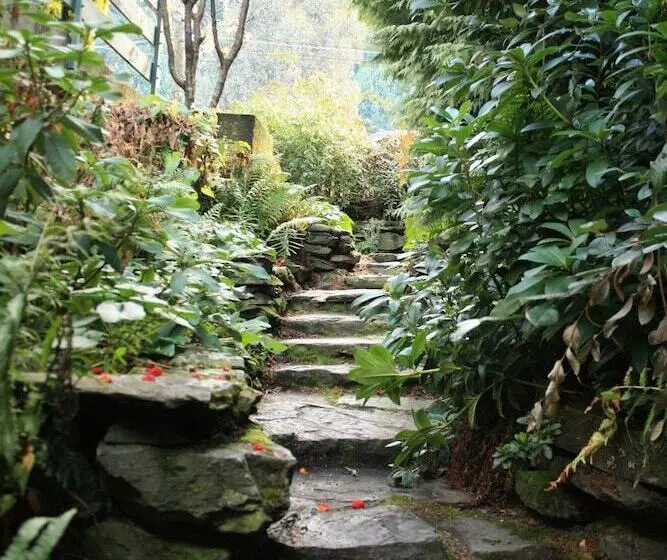 Hotelli The Flaming Kiwi Backpackers