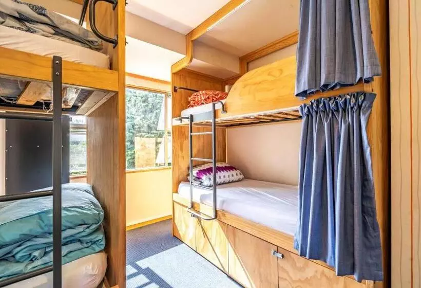 Hotelli The Flaming Kiwi Backpackers