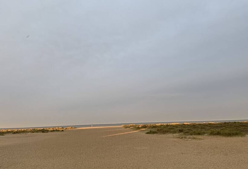 فندق Arona Guest