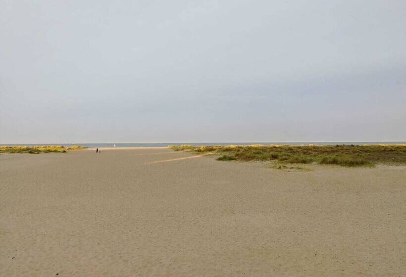 فندق Arona Guest