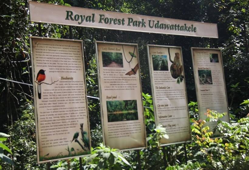 فندق Camarin Residence