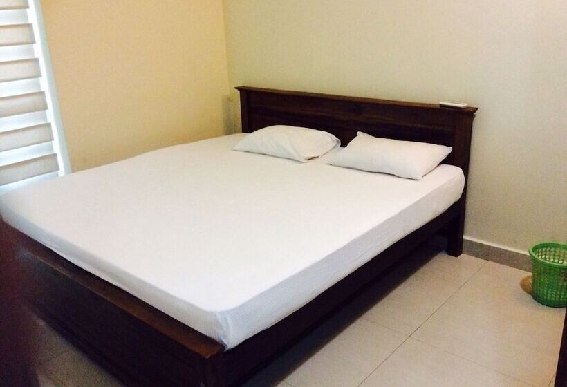 Hotel Colombo Apartments   Harmers Avenue