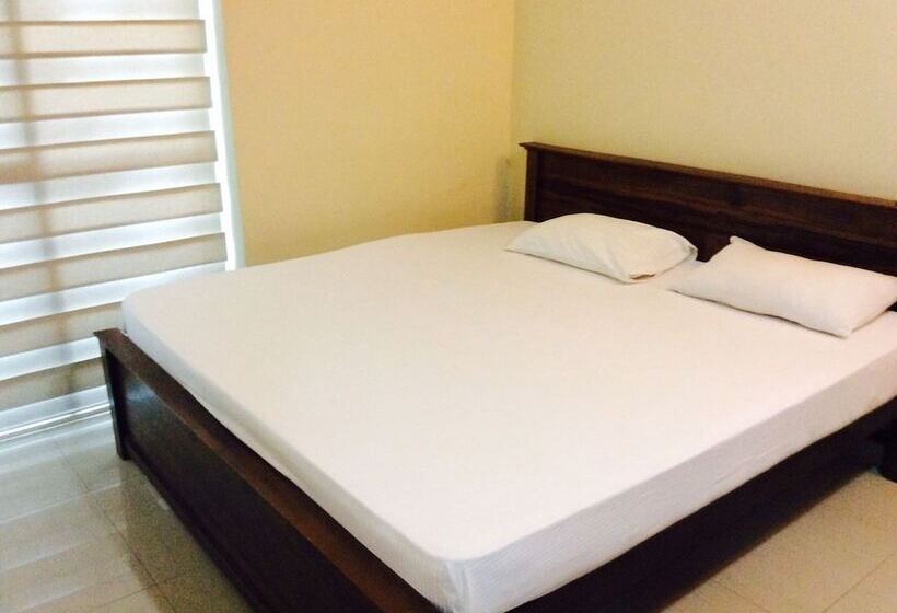 Hotel Colombo Apartments   Harmers Avenue