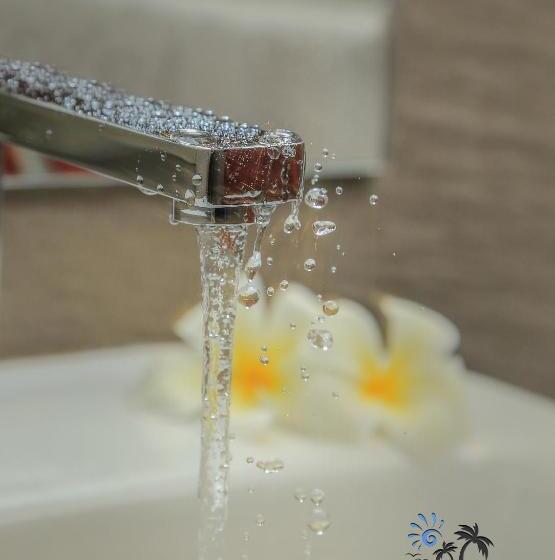 בית מלון כפרי D Plus B&b Negombo