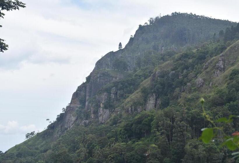 فندق Pasan Guest