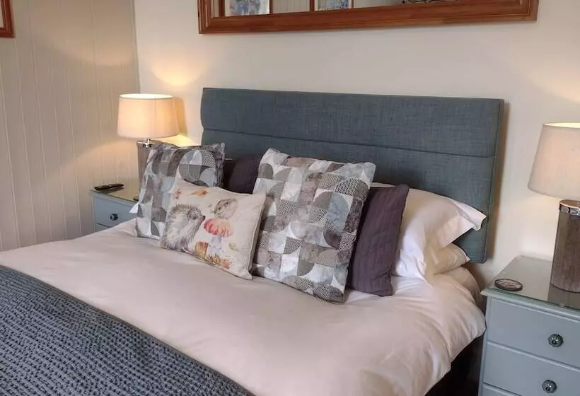 هتل Plas Tan Y Graig B&b Guest House Beddgelert