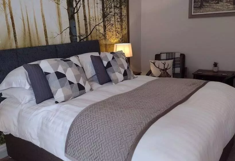 هتل Plas Tan Y Graig B&b Guest House Beddgelert
