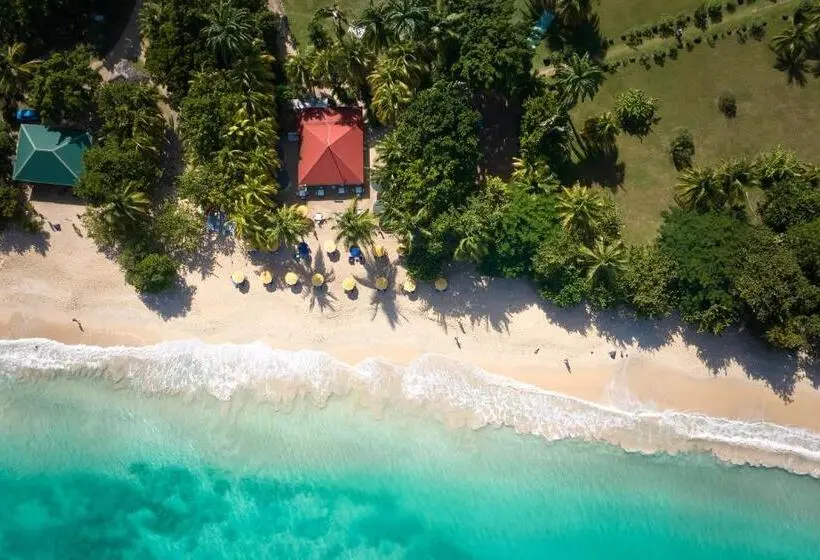 Mount Cinnamon Beach Resort