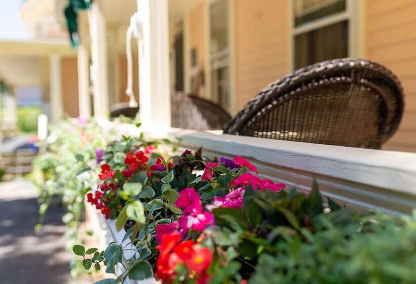 호텔 Addison Choate