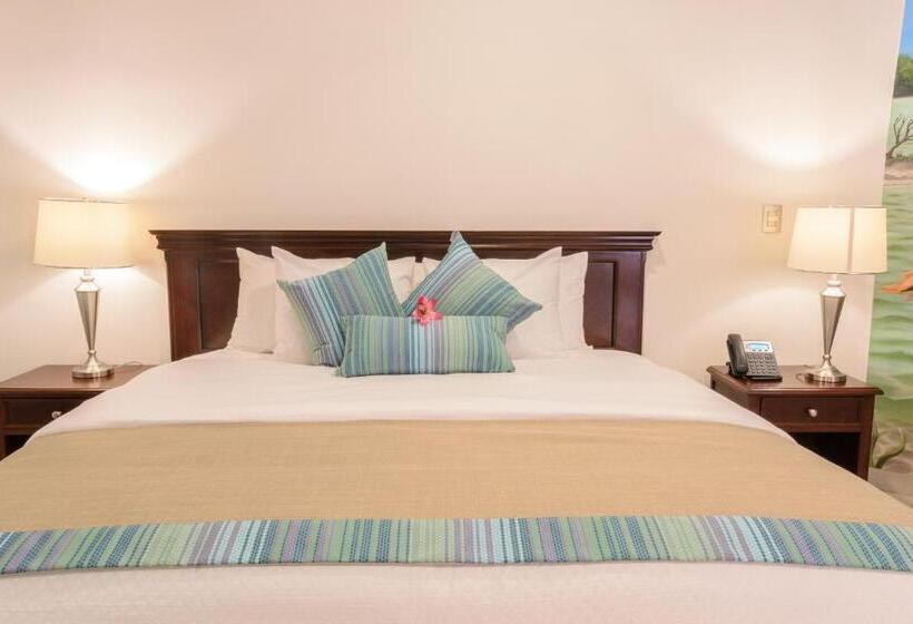 호텔 Boutique Real San Juan Center