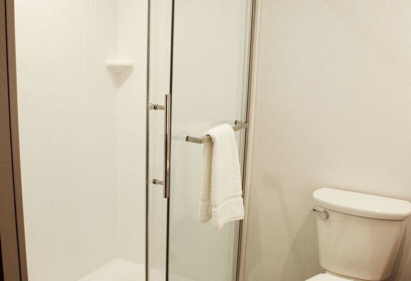 酒店 Hilton Garden Inn Dallas  At Hurst Conference Center