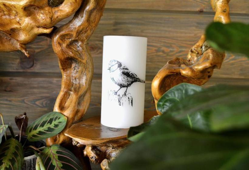 בית מלון כפרי Korzhov