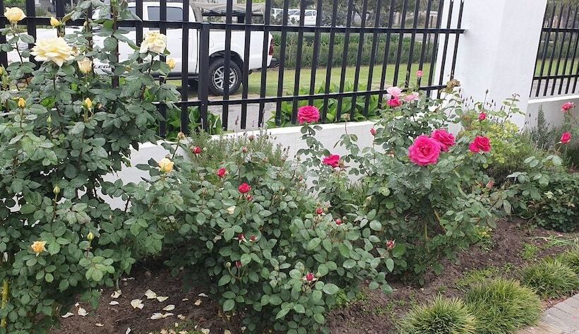 בית מלון כפרי Outeniqua Enroute