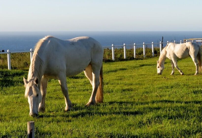 فندق Tniqua Stable Inn